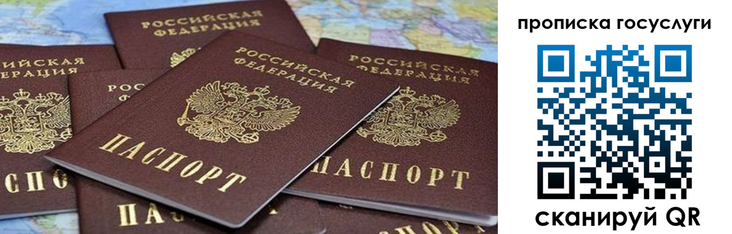 пропишу в квартире в Вязьме